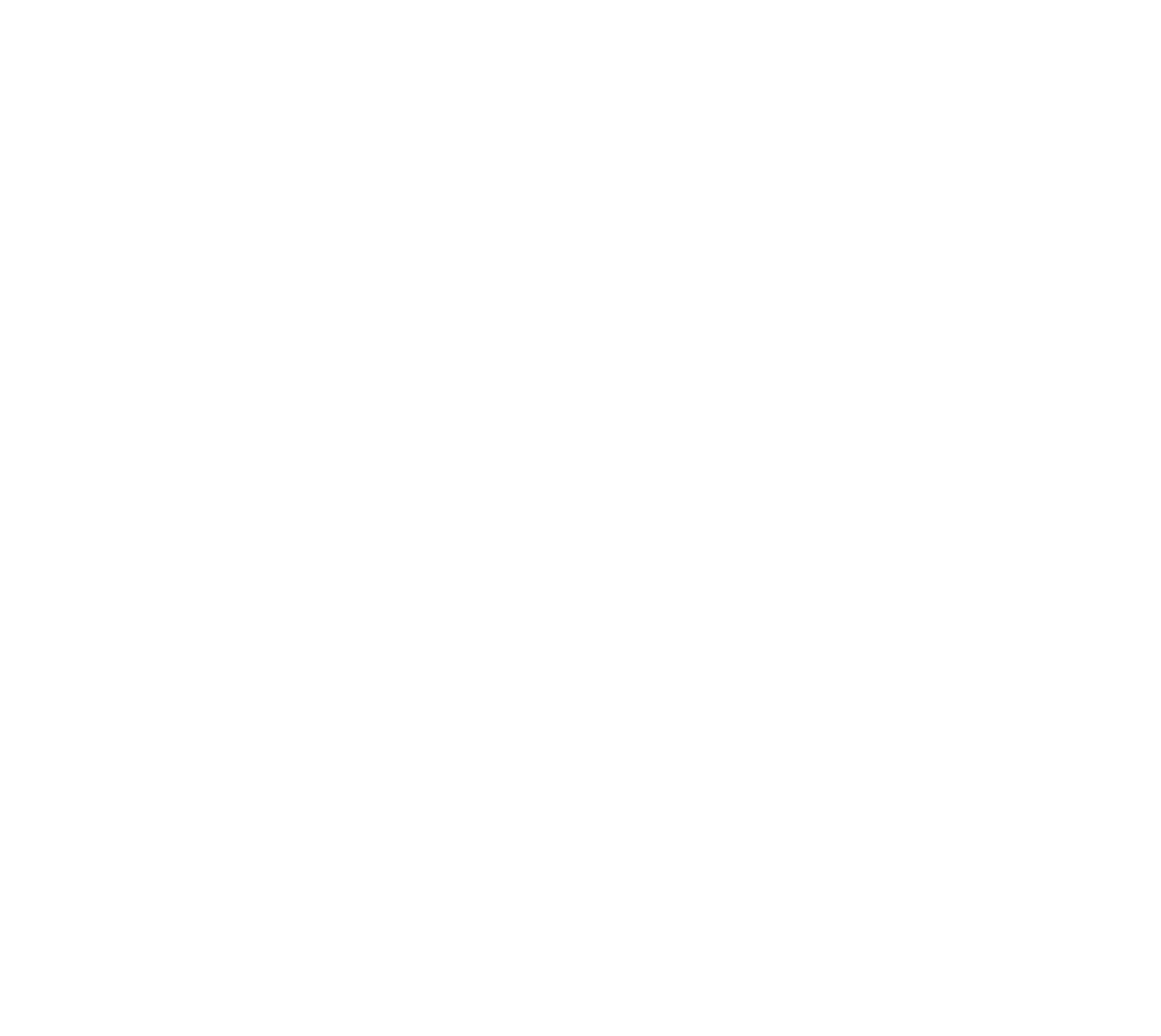 Geração 21